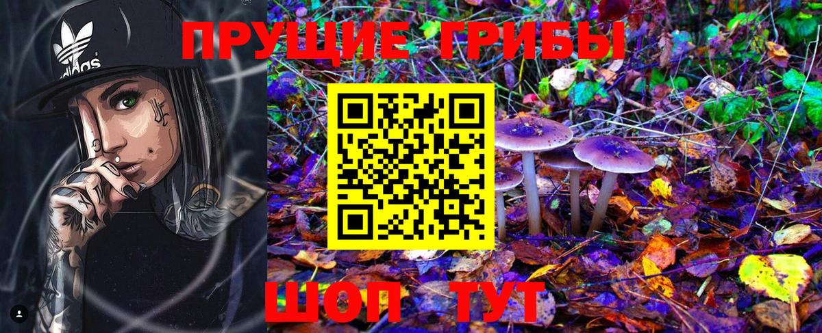 Псилоцибиновые грибы Magic Shrooms Заинск